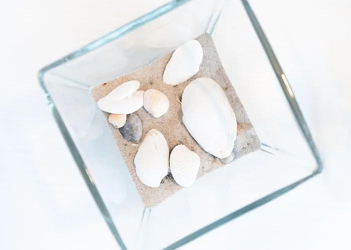 Seestrasse 56 8 沙博伊茨